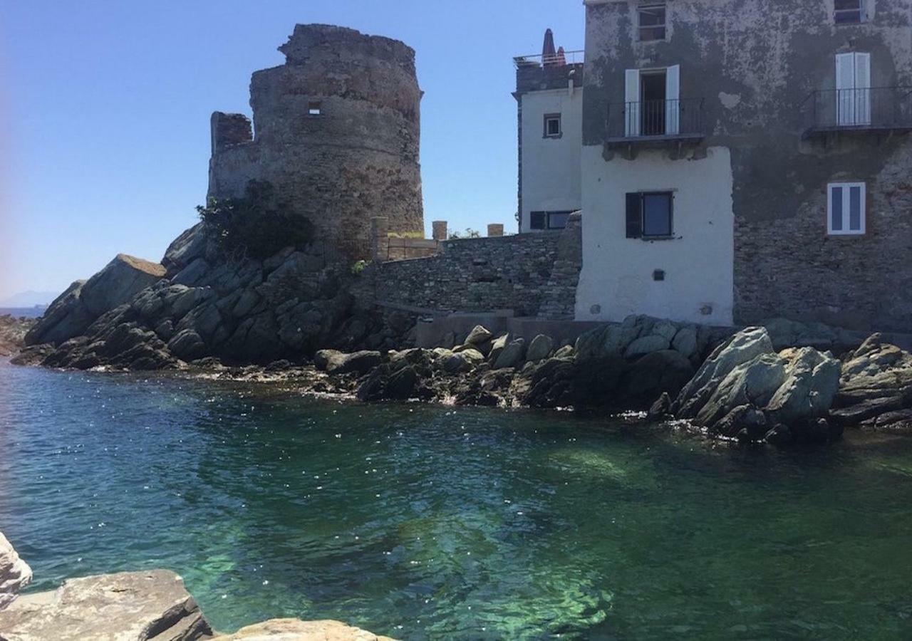 San-Martino-di-LotaVue Exceptionnelle Debut Cap Corse La Pier Noire公寓 外观 照片